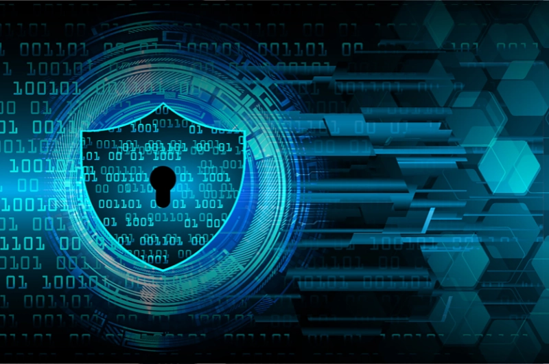 Sécurité Web : Protéger votre site des menaces numériques